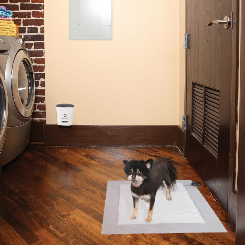 PetSafe E-Pee Dog Training Pad Reward System