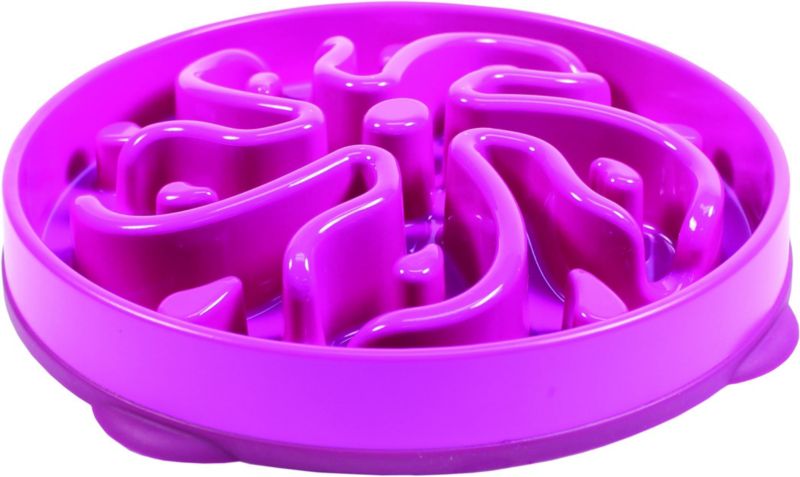 Dog Games Slo-Bowl Flower Style Dog Bowl Gray