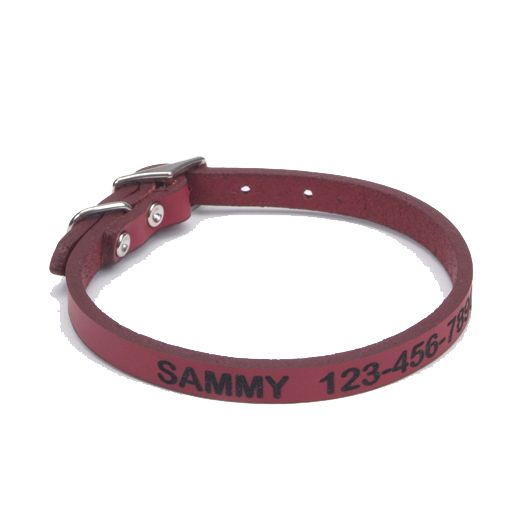 Personalized Leather Dog Collar 10 Inch Red