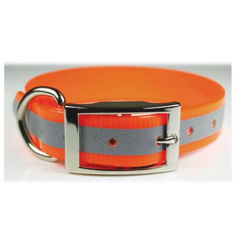 sunglo reflective dog collar