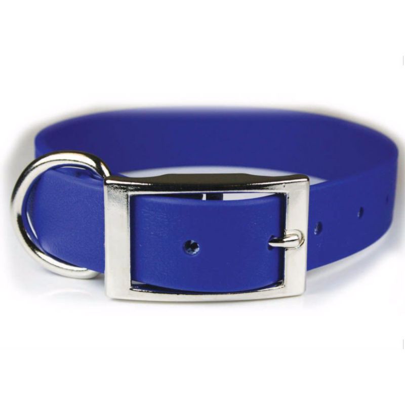 zeta poly dog collar