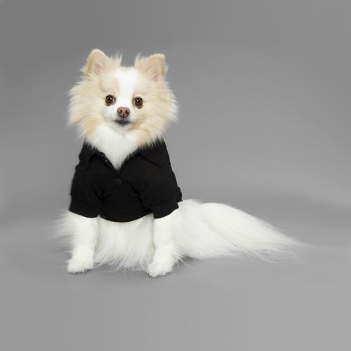 The Preppy Polo Black Medium 16 Inch