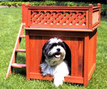 Room with a View-Small Dog House