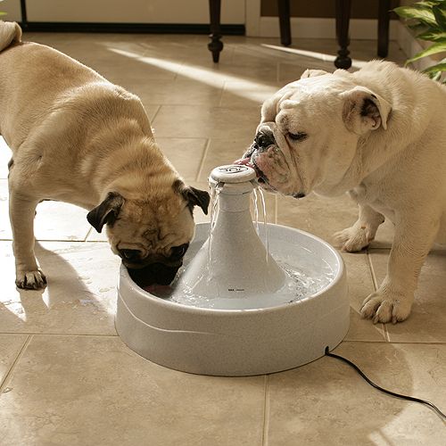 Drinkwell 360 Pet Water Fountain