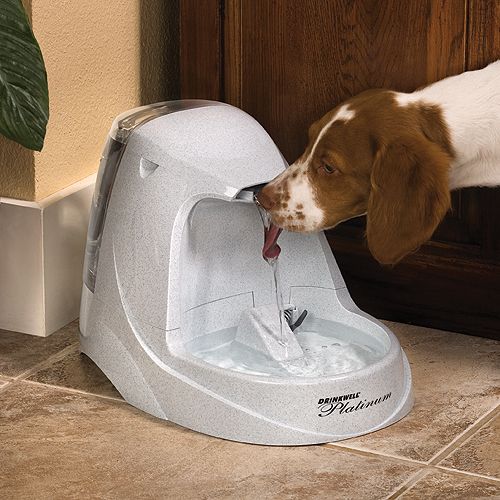 Drinkwell Platinum Pet Water Fountain