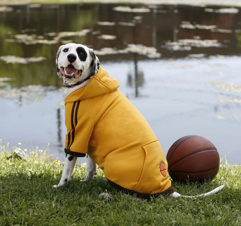 Paw Appeal Sporty Dog Sweatshirt 20 In Basketball