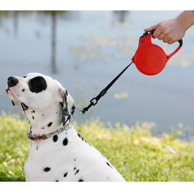 Paw Appeal Retractable Lead Up to 55lbs Red
