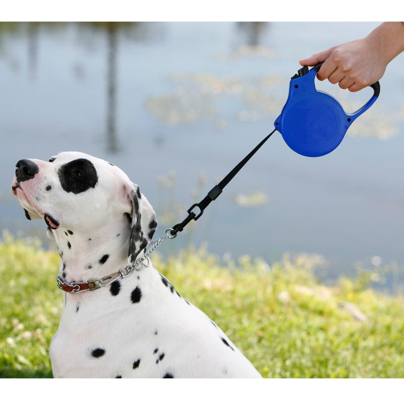 Paw Appeal Retractable Lead Up to 55lbs Blue