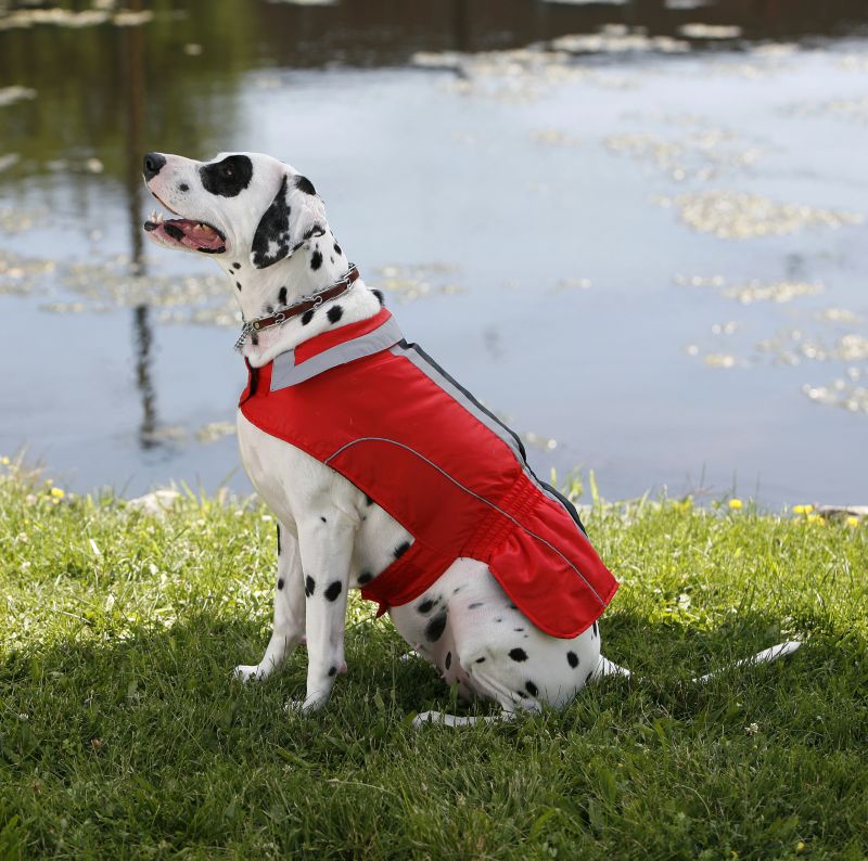 Fashion Pet City Sport Dog Jacket SM Red/Black