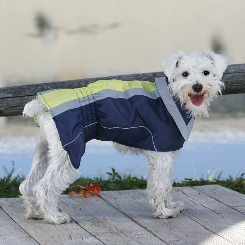 Fashion Pet City Sport Dog Jacket XS Navy/Yellow