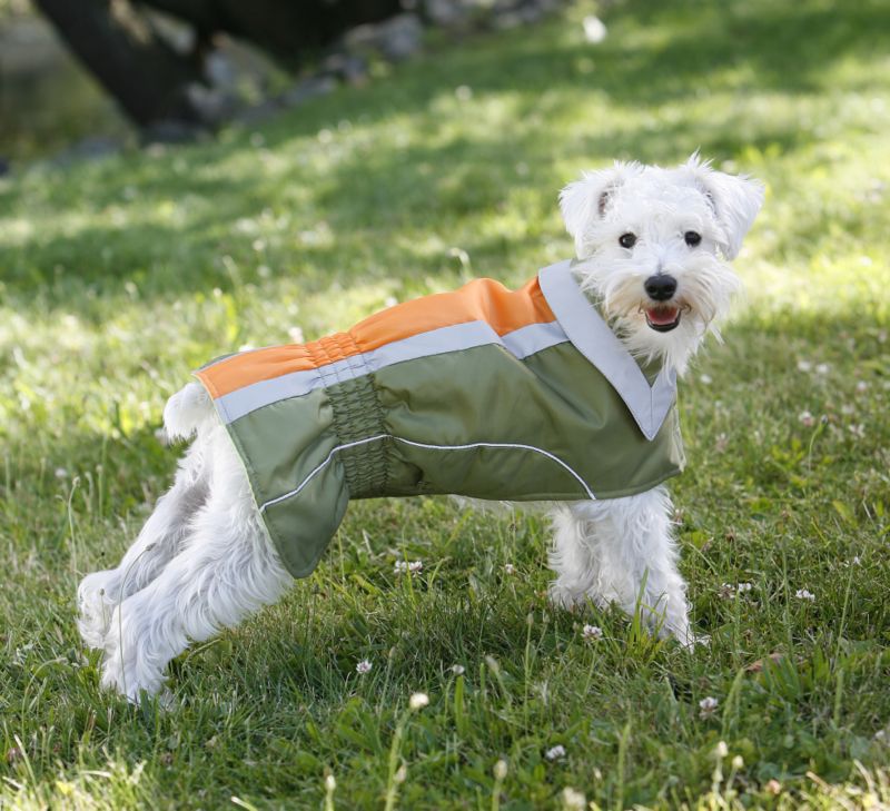 Fashion Pet City Sport Dog Jacket XS Green/Orange