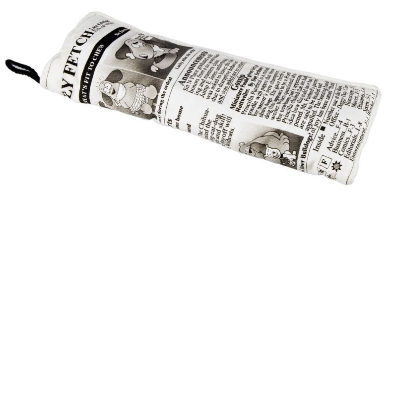 Read All About It Newspaper Dog Toy