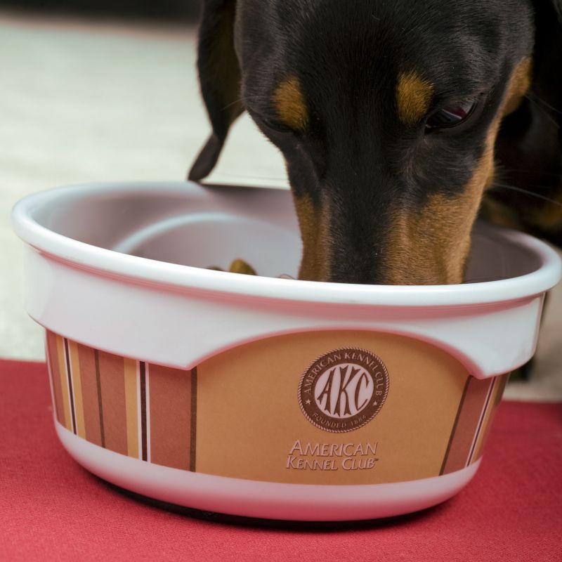 AKC Series Heavyweight Pet Bowl 30 oz