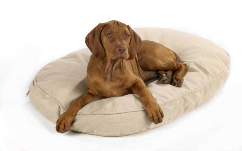 Bowsers Hemp Dog Bed X-Small