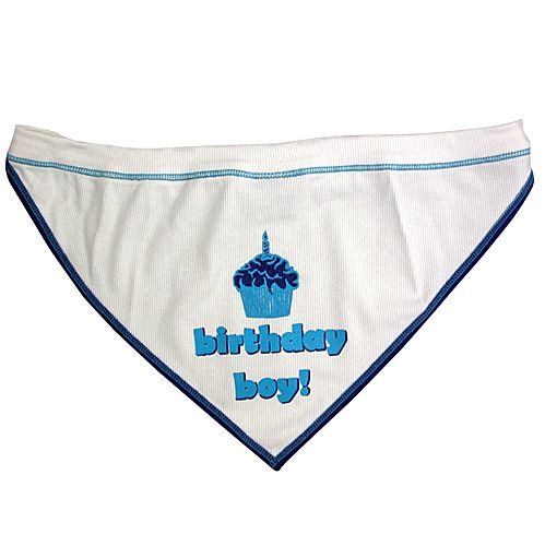 Birthday Boy Dog Scarf Small