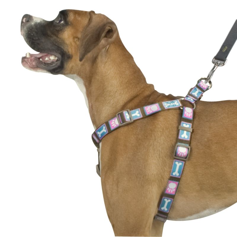 Pet Attire Paws and Bones Dog Harness 3/8In X 12In