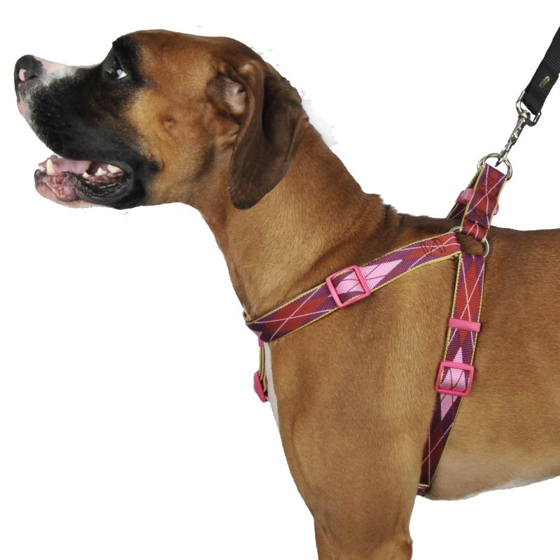 Pet Attire Argyle Dog Harness 3/8In X 12In