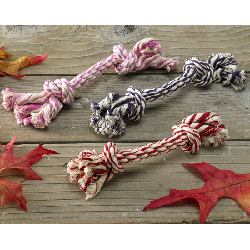 Tutti Frutti Scented Rope Dog Bone Set