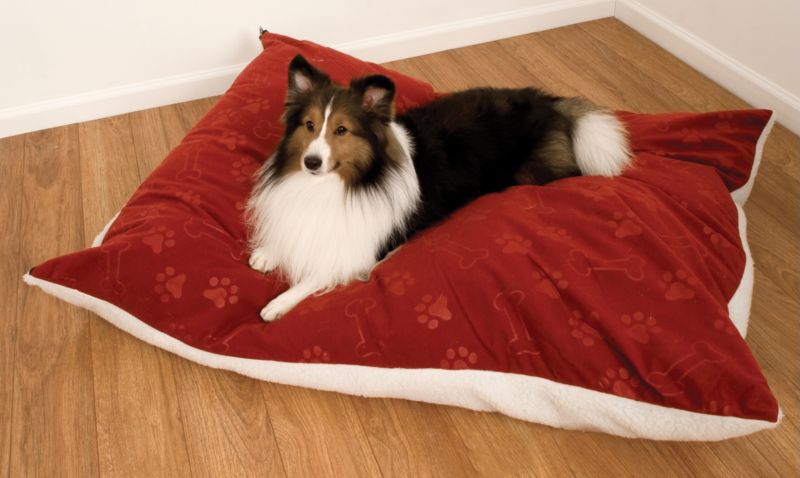 Quiet Time Dog Pillow 48x36 Burgundy