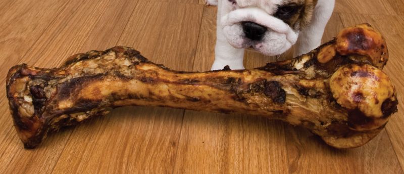 Smoked Pork Femur Dog Bone