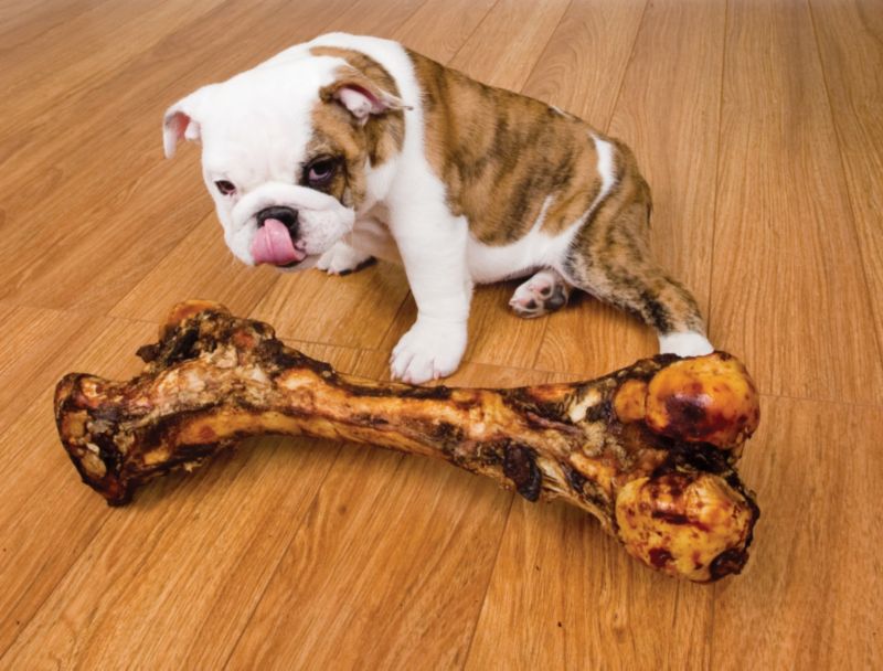 Dino Bone Smoked Dog Bone