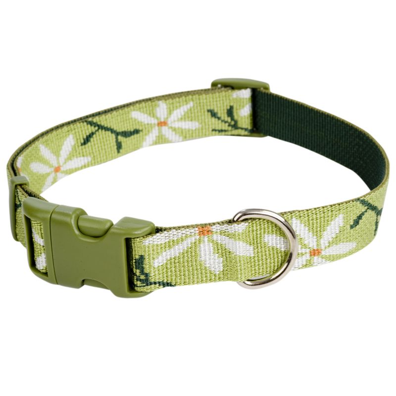 Pet Attire Daisy Dog Collar 12-18 x 5/8 Inch