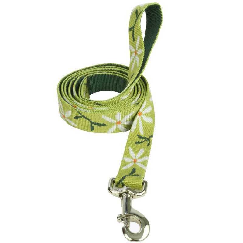 Pet Attire Daisy Dog Leash