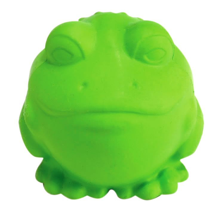 Darwin the Frog Dog Toy Medium