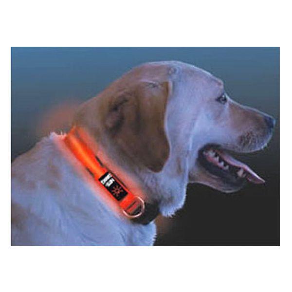 Nite Ize Nite Dawg LED Dog Collar Medium