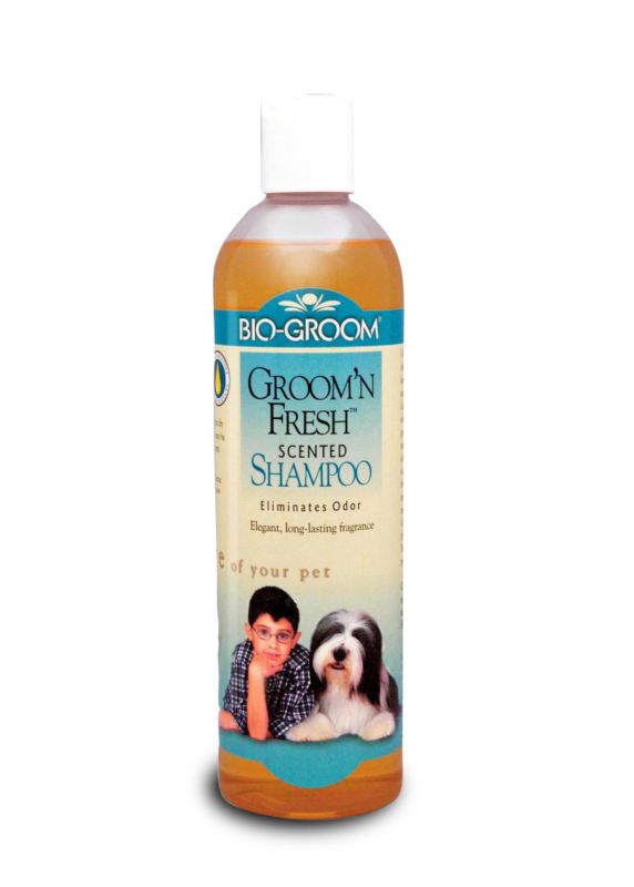 Bio-Groom Groom N Fresh Dog Shampoo 12oz