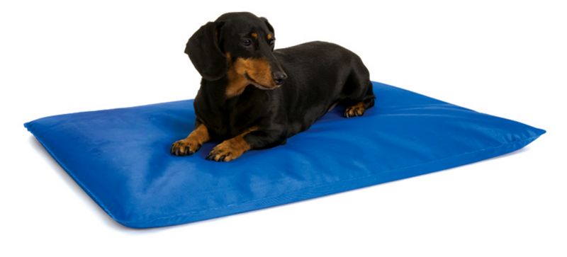 Cool Bed 3 Blue Cooling Pet Bed Large