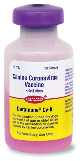 Duramune CVK Dog Vaccine