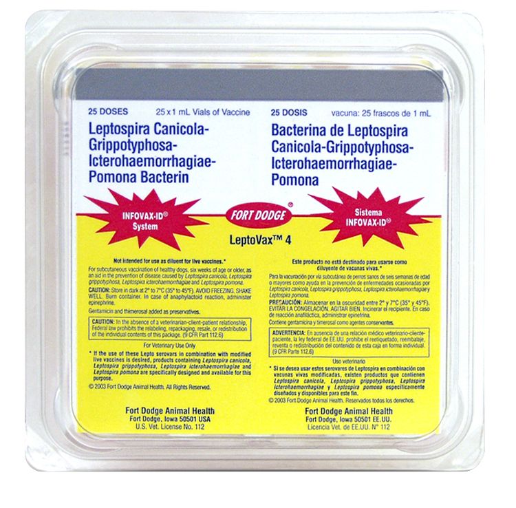 Lepto Vax 4 Dog Vaccine 25x1ml vials