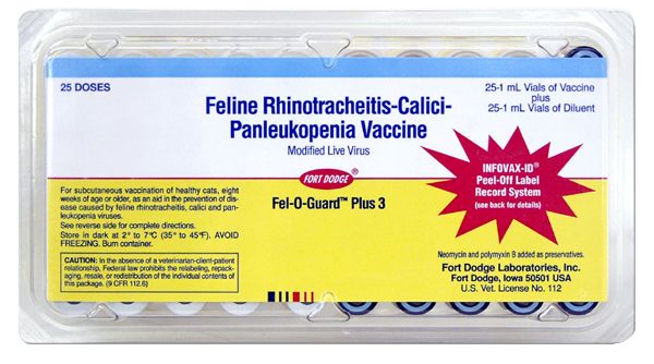 Fel-O-Guard Plus 3 Cat Vaccine Best Price