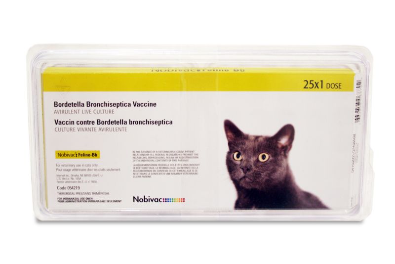 Nobivac Feline-Bb Cat Vaccine