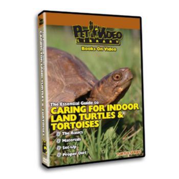 Caring For Your Pet Turtle DVD