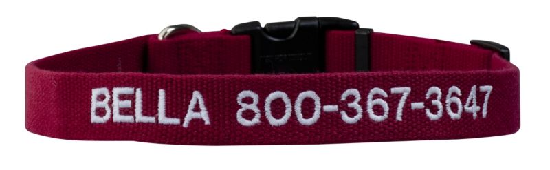 New Earth Soy Personalized Dog Collar