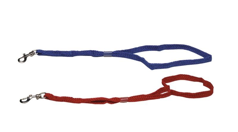 Dog Grooming Noose