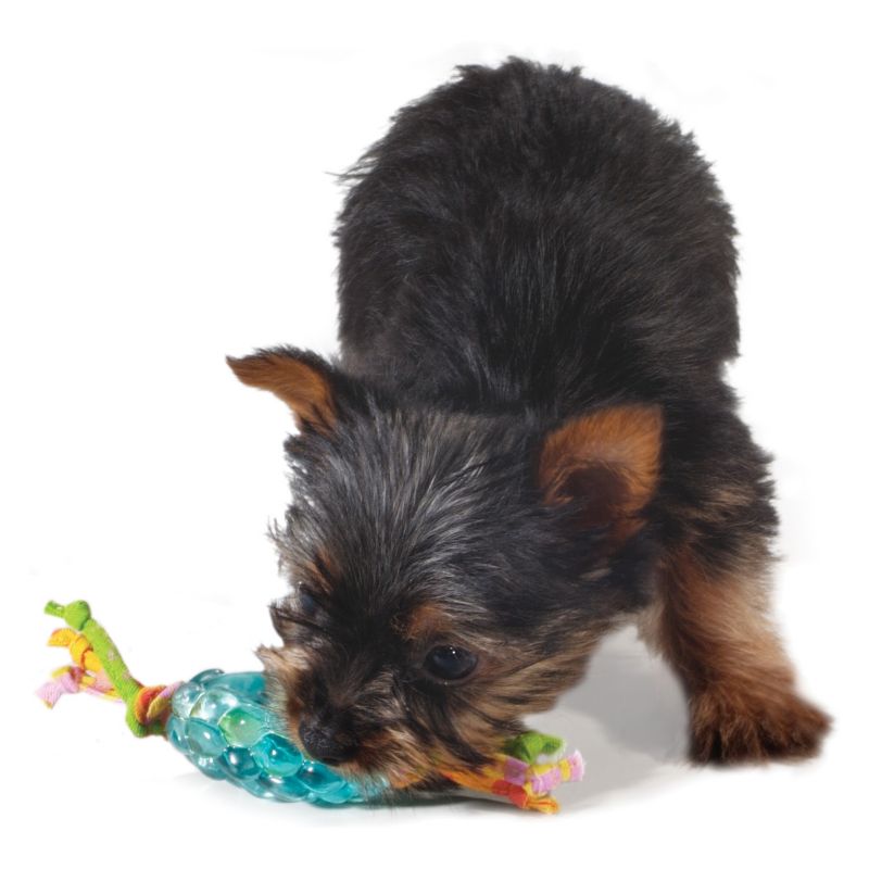 PetStages Mini Orka Pine Cone Dog Toy