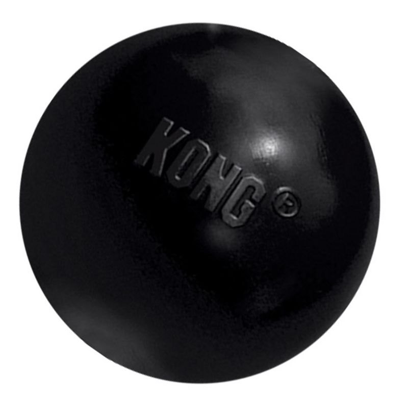 Extreme Kong Ball Dog Toy