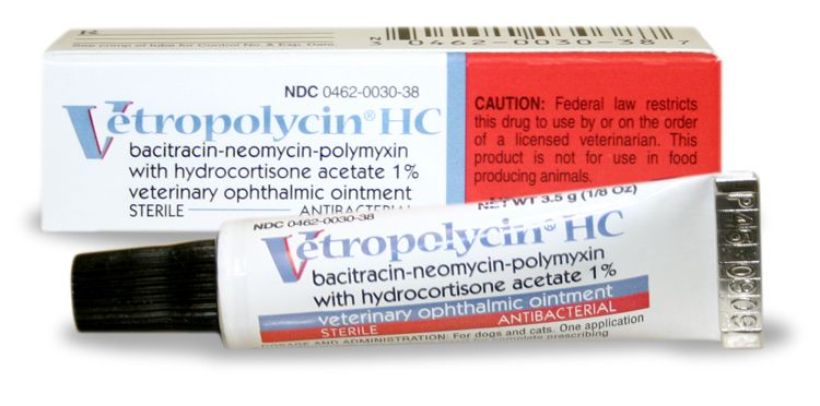 Chloramphenicol Ophthalmic Ointment