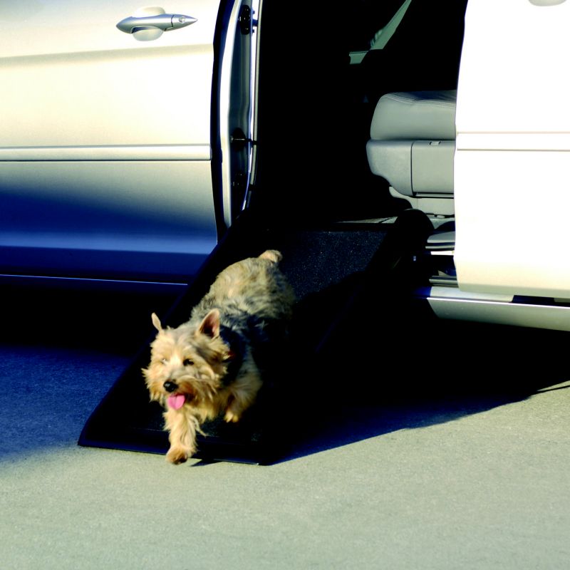 Smart Dog Ramp