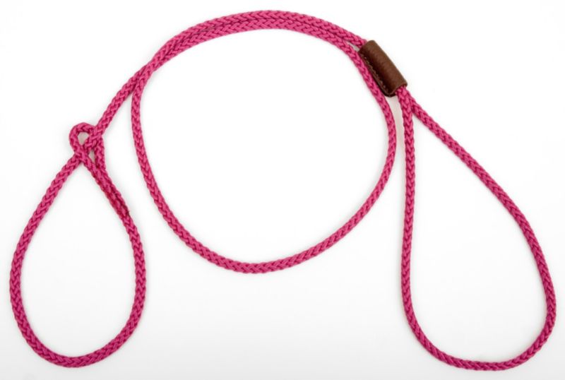 Mendota Show Loop Dog Leash