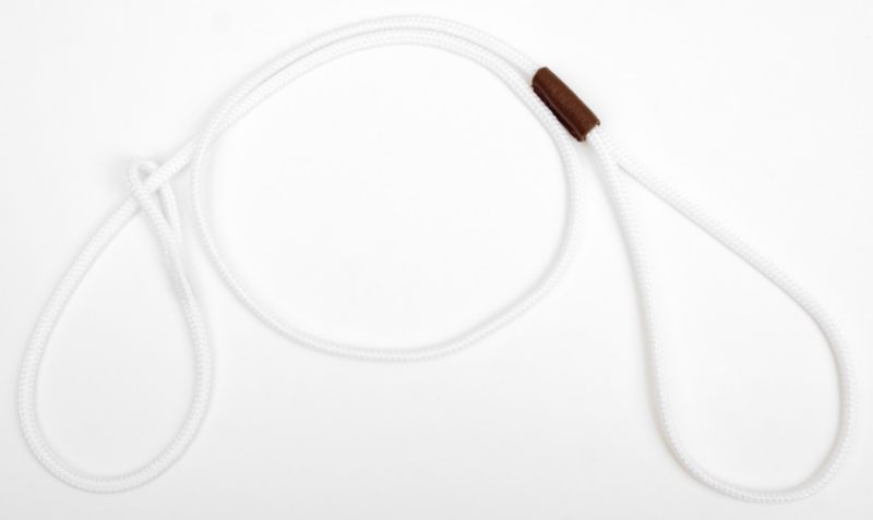 Mendota Show Loop Dog Leash