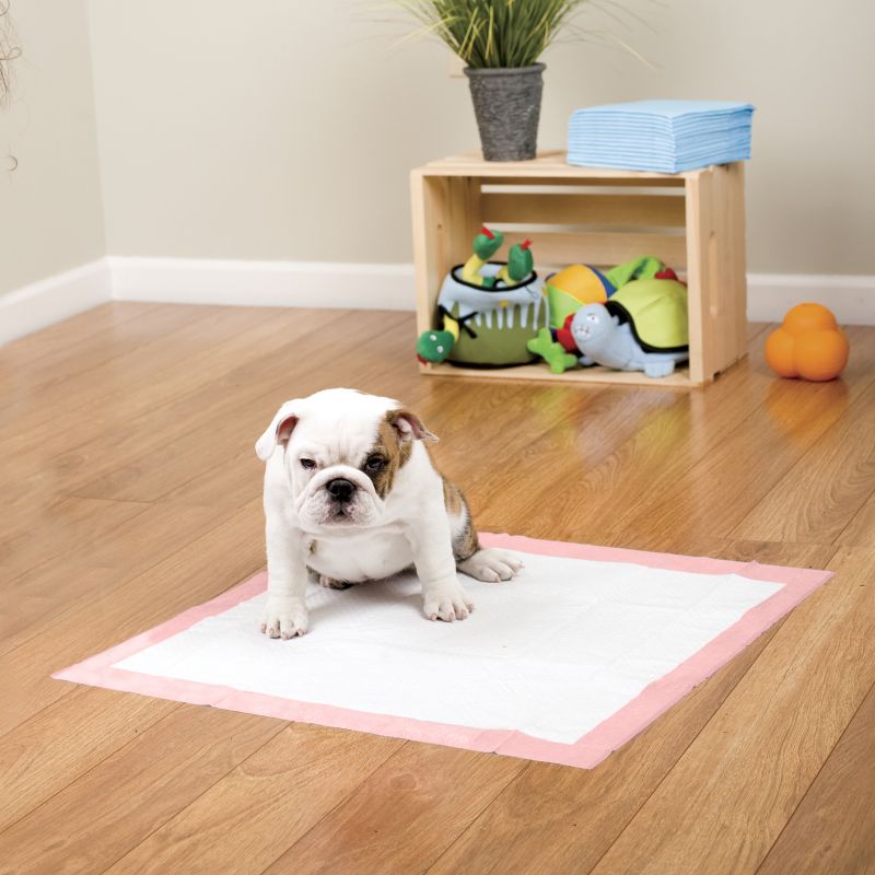 Therapet Pet Training Pad