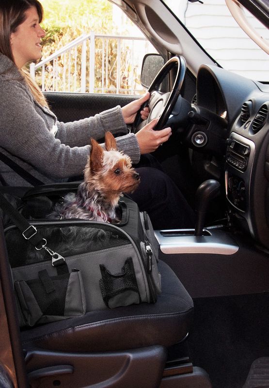 Booster/Carrier/Car Pet Seat