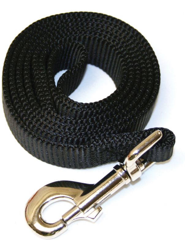 Nylon Dog Leash