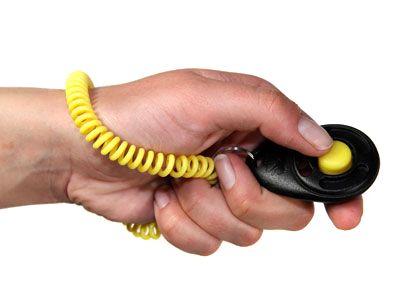 Starmark Pro-Training Deluxe Clicker