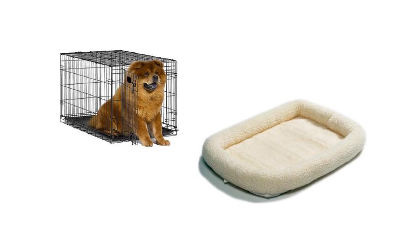 Basic Puppy Kit Medium