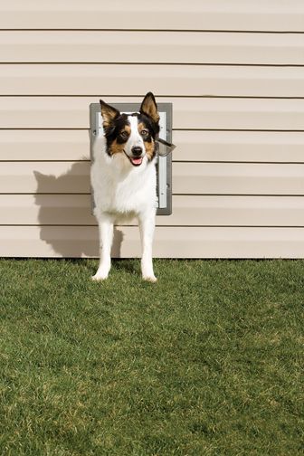 PetSafe Wall Entry Aluminum Pet Door Medium